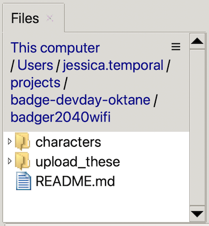 files pane on Thonny showing the contents of the badeger2040wifi folder