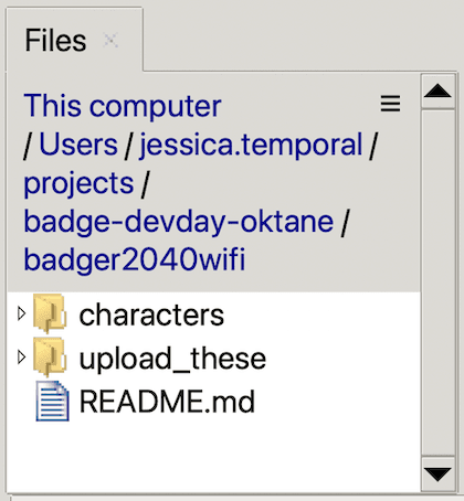 files pane on Thonny showing the contents of the badeger2040wifi folder